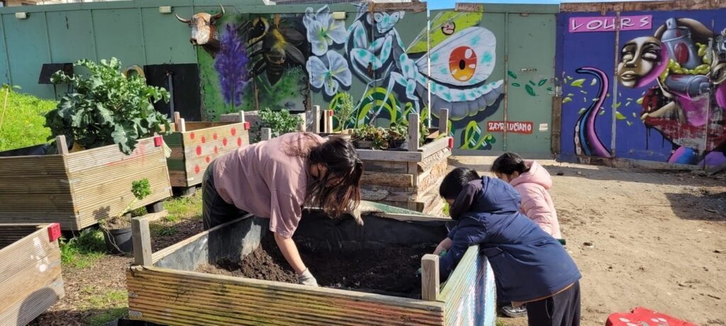The next phase expanded the programme with a broader mix of community and commercial 